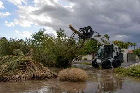 Grapple loader hoisting a wind-snapped pine limb off a wet Tempe driveway, storm-dropped fronds gathered at the curb